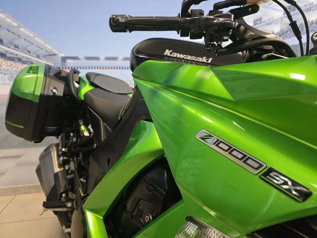 Kawasaki Z 1000 SX ABS (2014 - 16) (12)