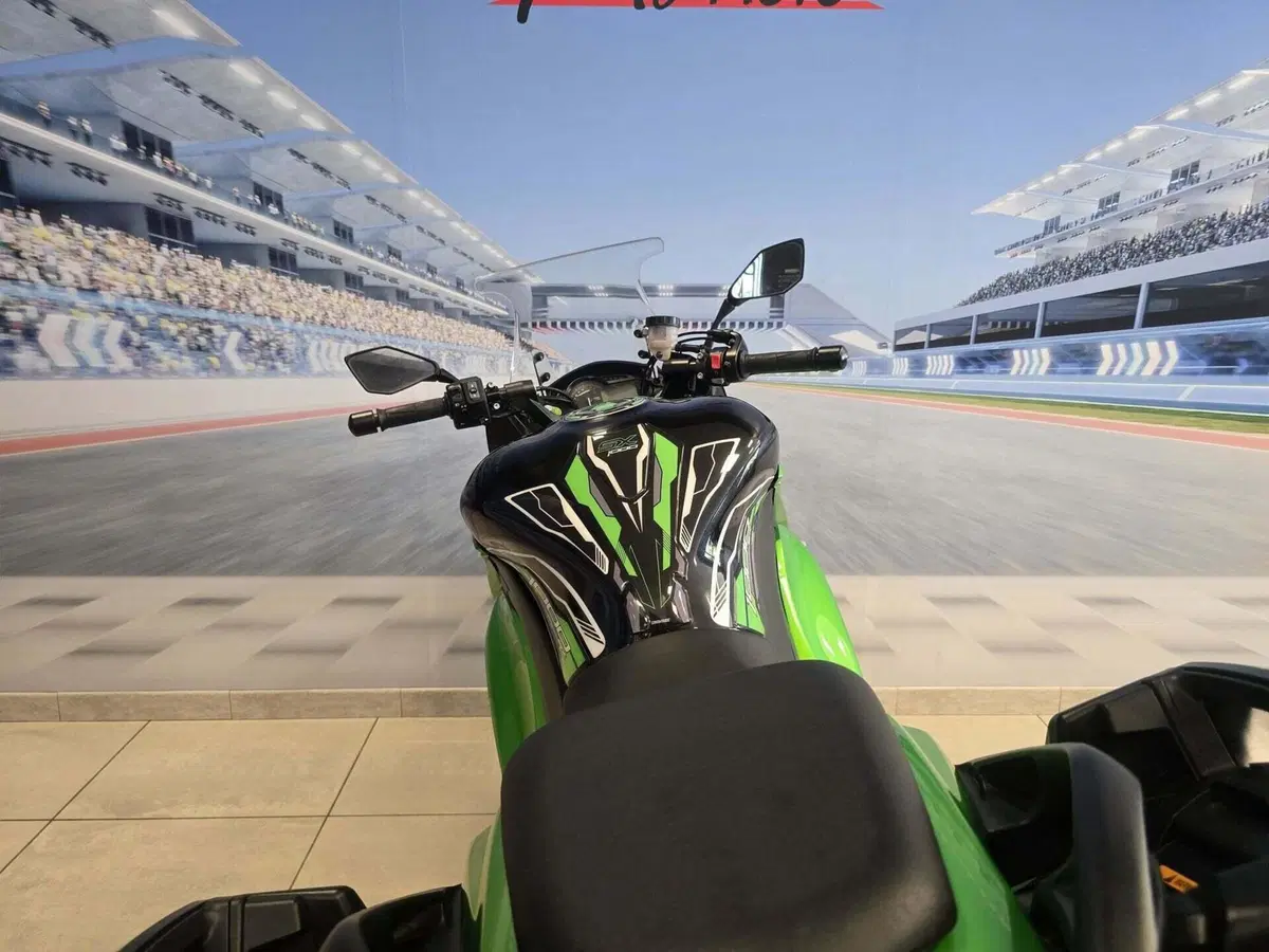 Kawasaki Z 1000 SX ABS (2014 - 16) (19)