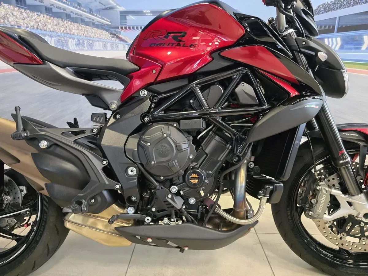 MV Agusta Brutale 800 RR (2021 - 25) (11)