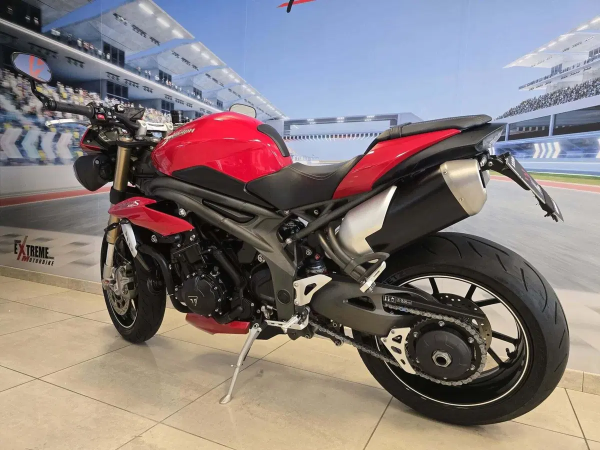 Triumph Speed Triple 1050 S ABS (2016 - 17) (5)