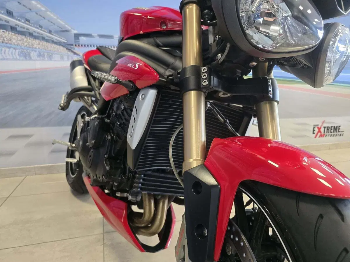 Triumph Speed Triple 1050 S ABS (2016 - 17) (11)