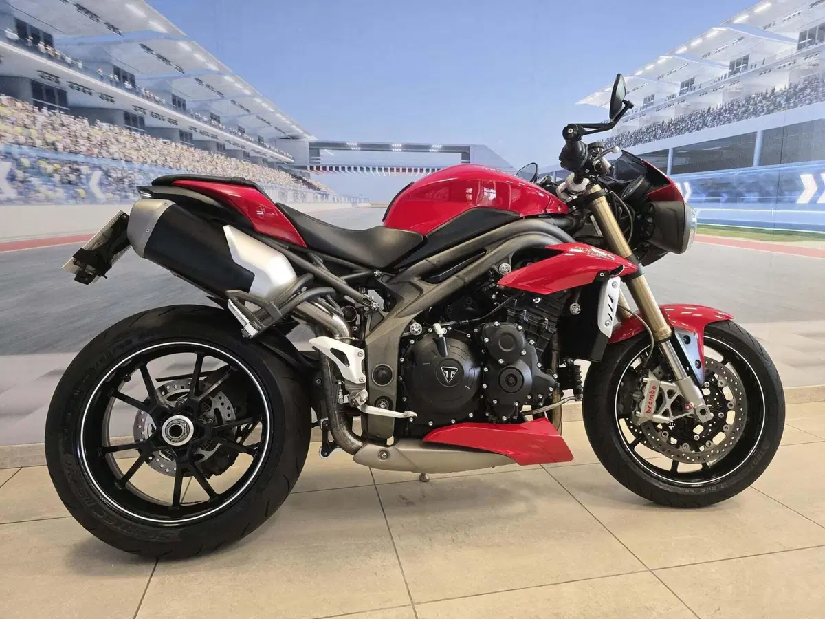 Triumph Speed Triple 1050 S ABS (2016 - 17) (15)