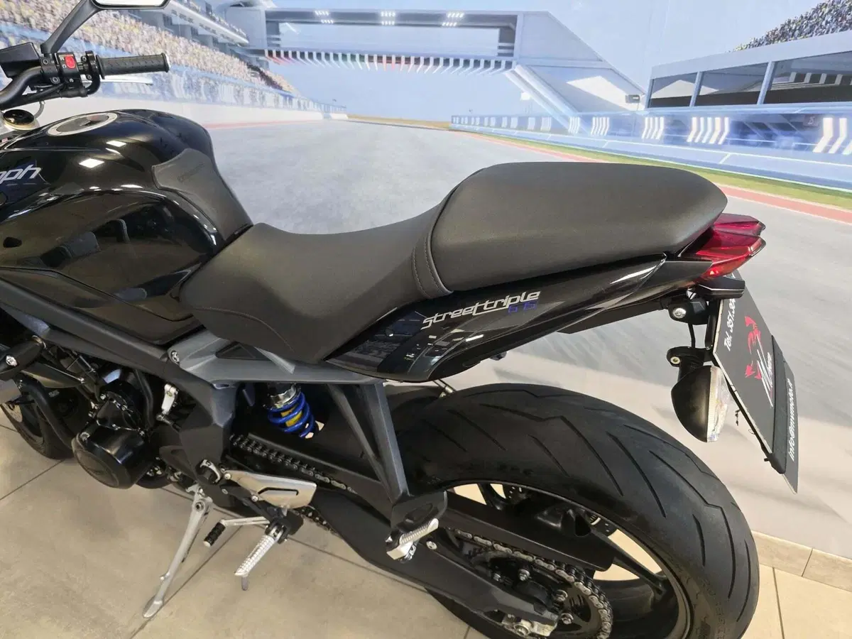Triumph Street Triple ABS (2013 - 17) (7)