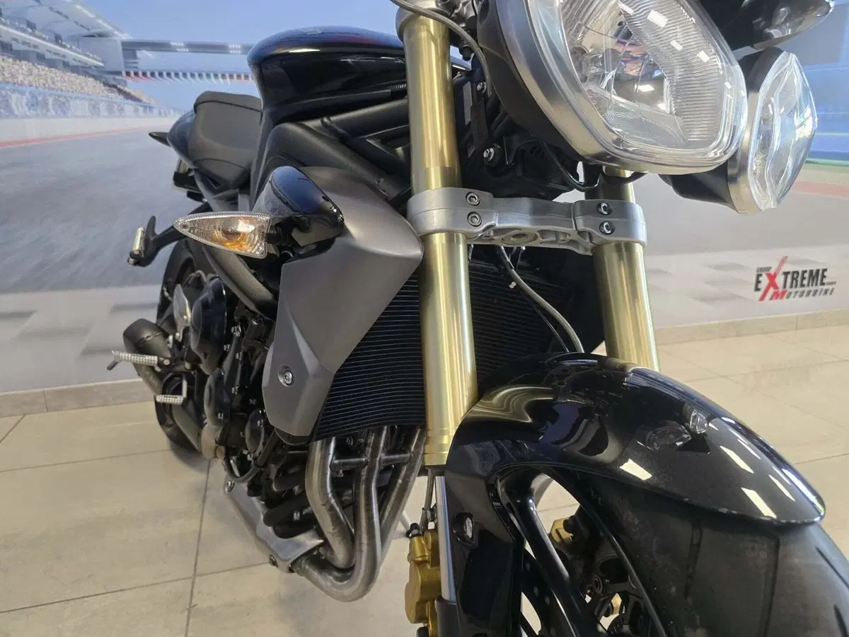 Triumph Street Triple ABS (2013 - 17) (11)