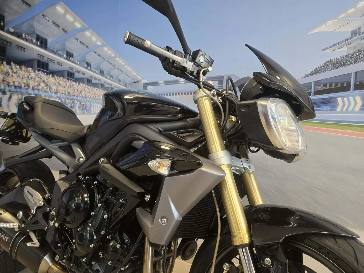 Triumph Street Triple ABS (2013 - 17) (14)