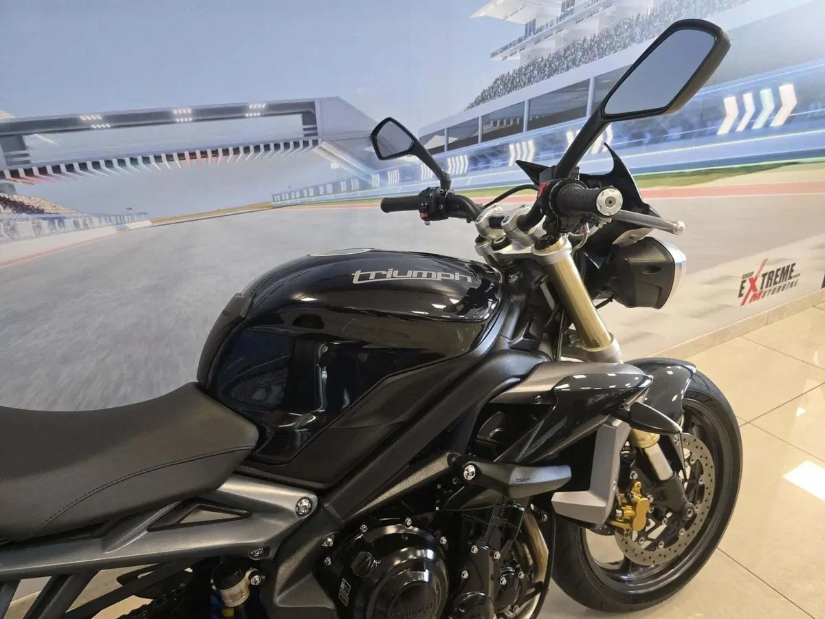 Triumph Street Triple ABS (2013 - 17) (17)