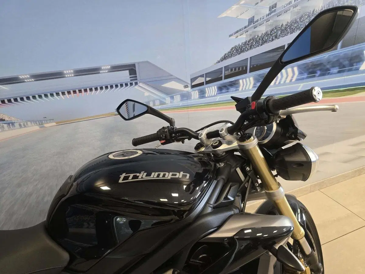 Triumph Street Triple ABS (2013 - 17) (18)
