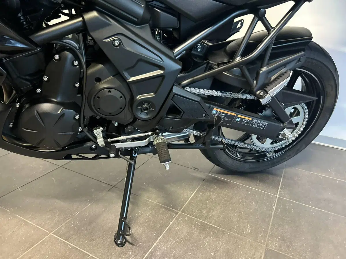 Kawasaki Versys 650 (2017 - 20) (8)