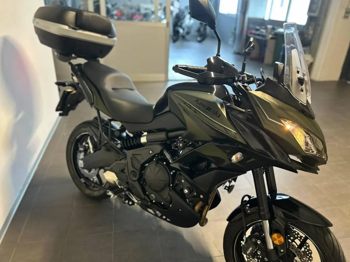Kawasaki Versys 650 (2017 - 20) (9)