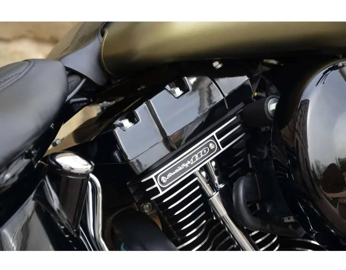 Harley-Davidson 1800 Slim S (2015 - 17) - FLS (6)
