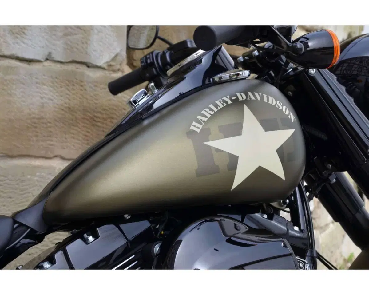 Harley-Davidson 1800 Slim S (2015 - 17) - FLS (8)