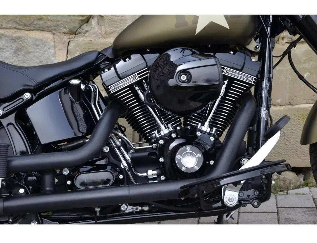 Harley-Davidson 1800 Slim S (2015 - 17) - FLS (10)
