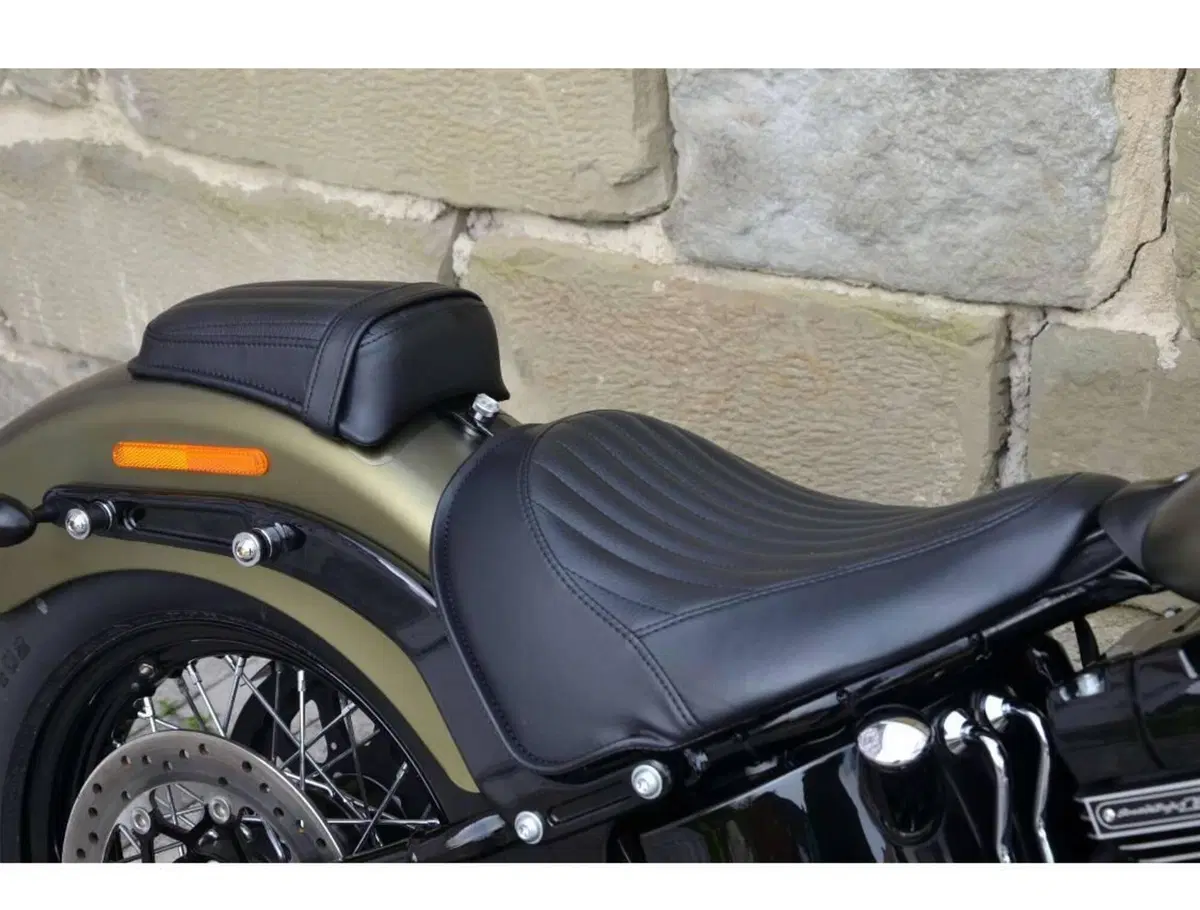 Harley-Davidson 1800 Slim S (2015 - 17) - FLS (12)