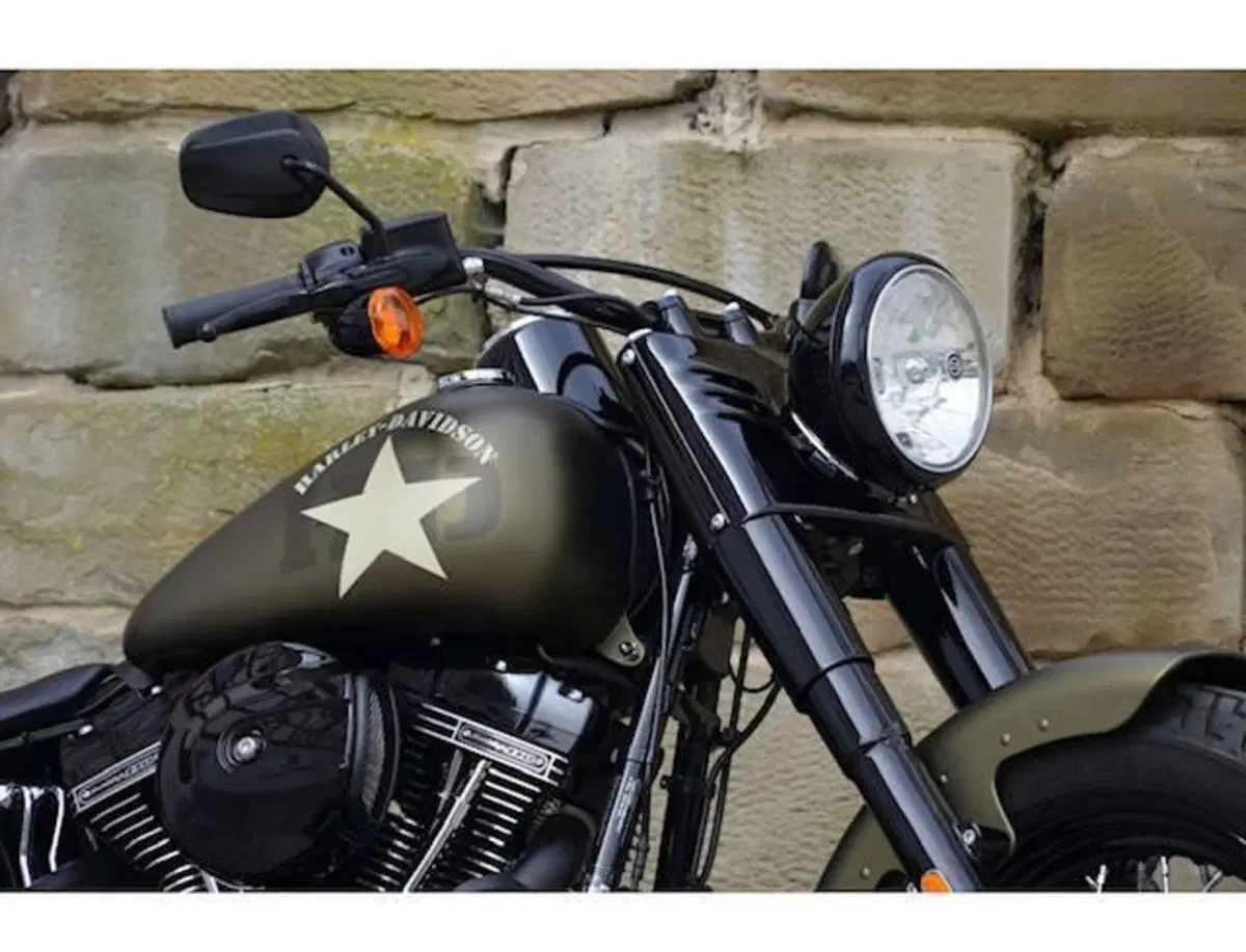 Harley-Davidson 1800 Slim S (2015 - 17) - FLS (13)