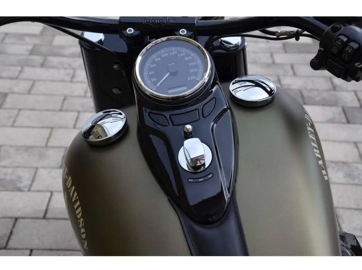 Harley-Davidson 1800 Slim S (2015 - 17) - FLS (14)