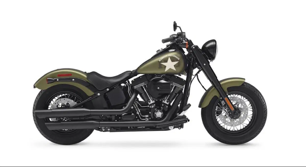Harley-Davidson 1800 Slim S (2015 - 17) - FLS (17)