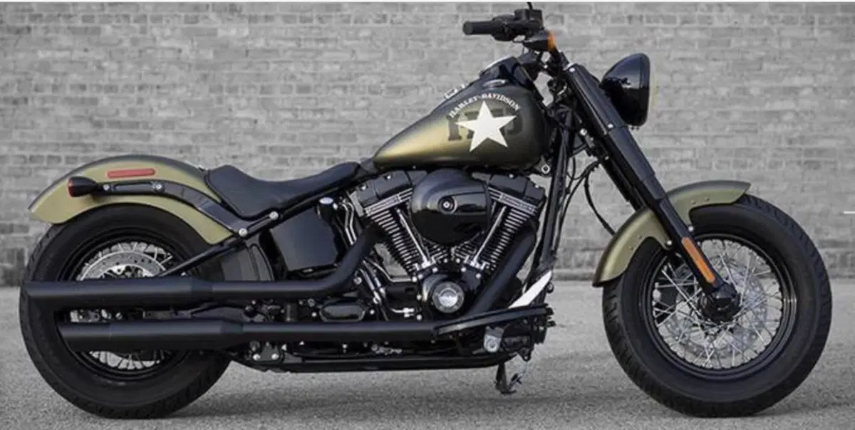 Harley-Davidson 1800 Slim S (2015 - 17) - FLS (4)