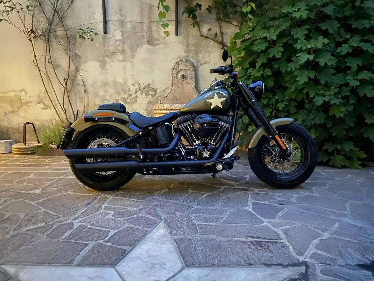 Harley-Davidson 1800 Slim S (2015 - 17) - FLS (2)