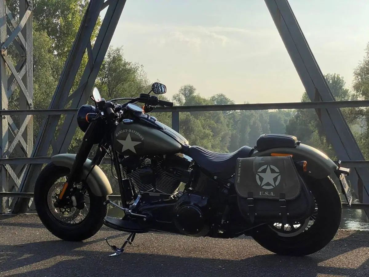 Harley-Davidson 1800 Slim S (2015 - 17) - FLS (3)
