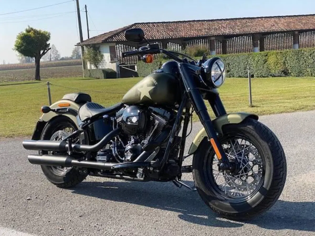 Harley-Davidson 1800 Slim S (2015 - 17) - FLS (7)