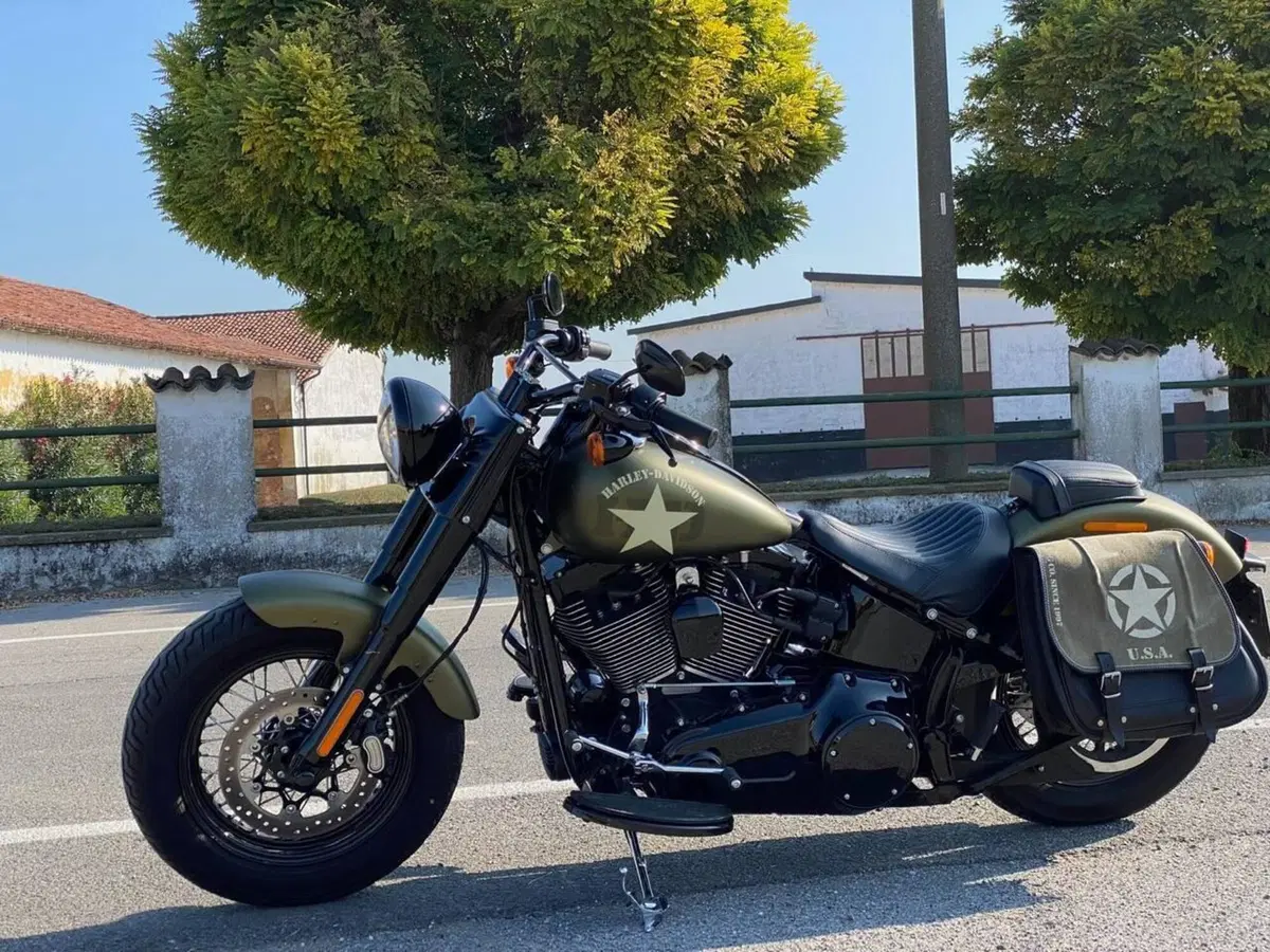 Harley-Davidson 1800 Slim S (2015 - 17) - FLS (9)