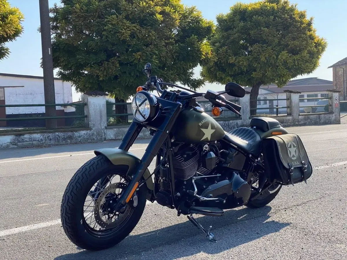 Harley-Davidson 1800 Slim S (2015 - 17) - FLS (5)
