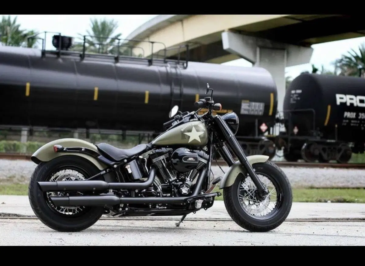 Harley-Davidson 1800 Slim S (2015 - 17) - FLS (16)