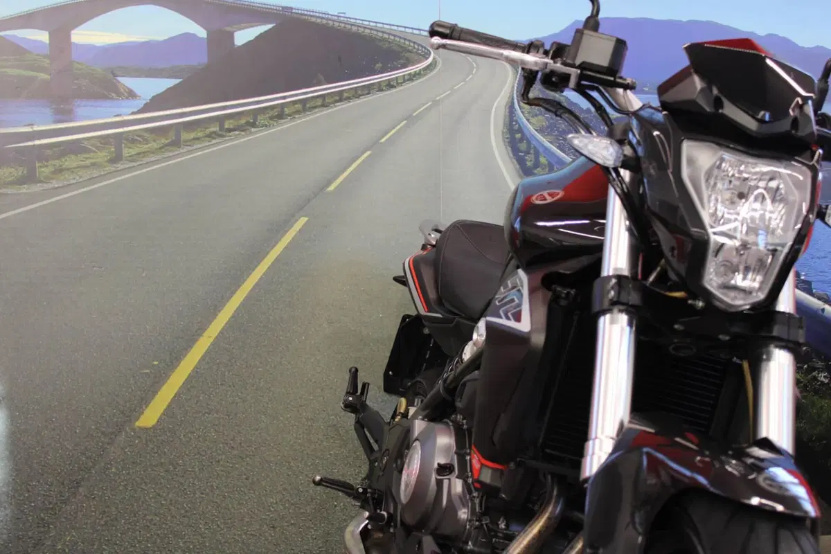 Benelli BN 302 (2014 - 16) (10)