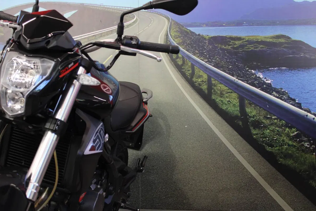 Benelli BN 302 (2014 - 16) (11)