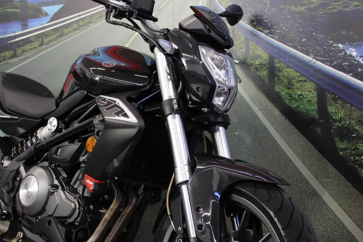 Benelli BN 302 (2014 - 16) (12)