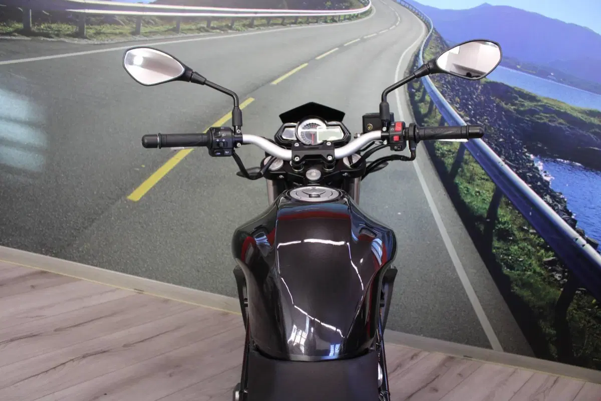 Benelli BN 302 (2014 - 16) (20)