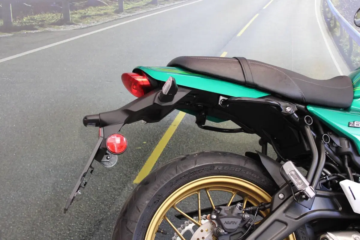 Kawasaki Z 650 RS (2022 - 24) (15)