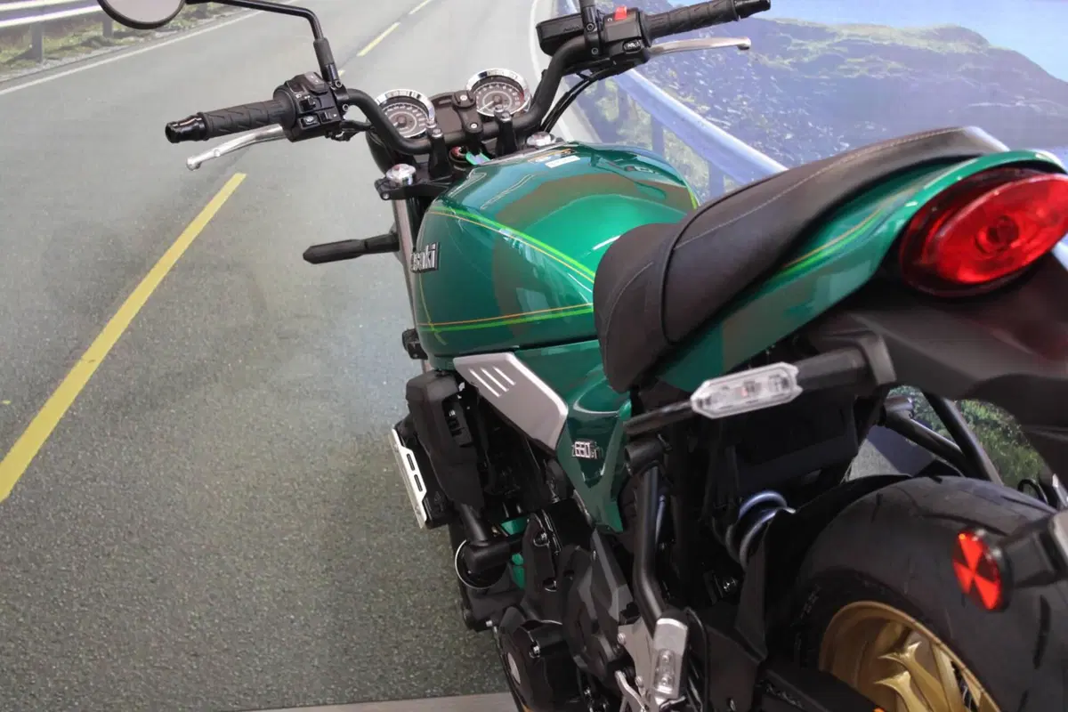 Kawasaki Z 650 RS (2022 - 24) (17)