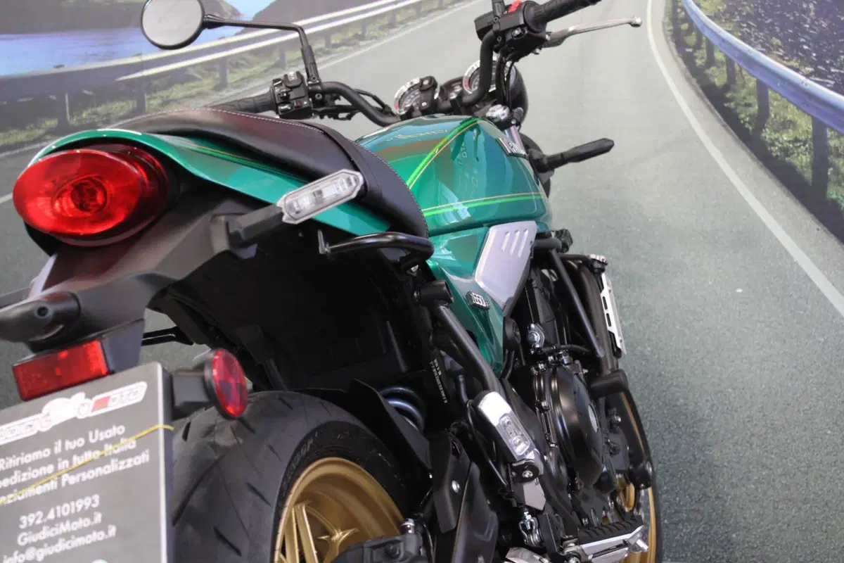 Kawasaki Z 650 RS (2022 - 24) (18)