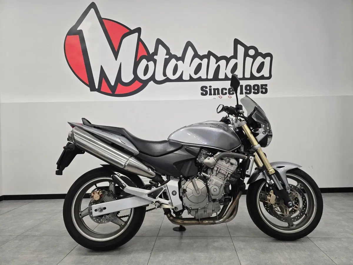 Honda Hornet 600 (2005 - 06) (4)