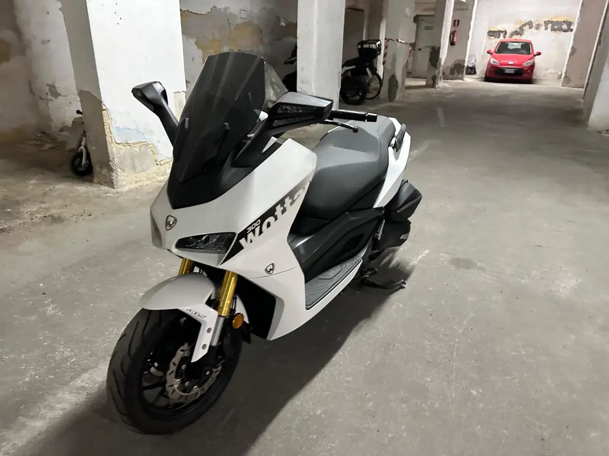 Wottan Motor Storm-R 300 (2023 - 25) (2)