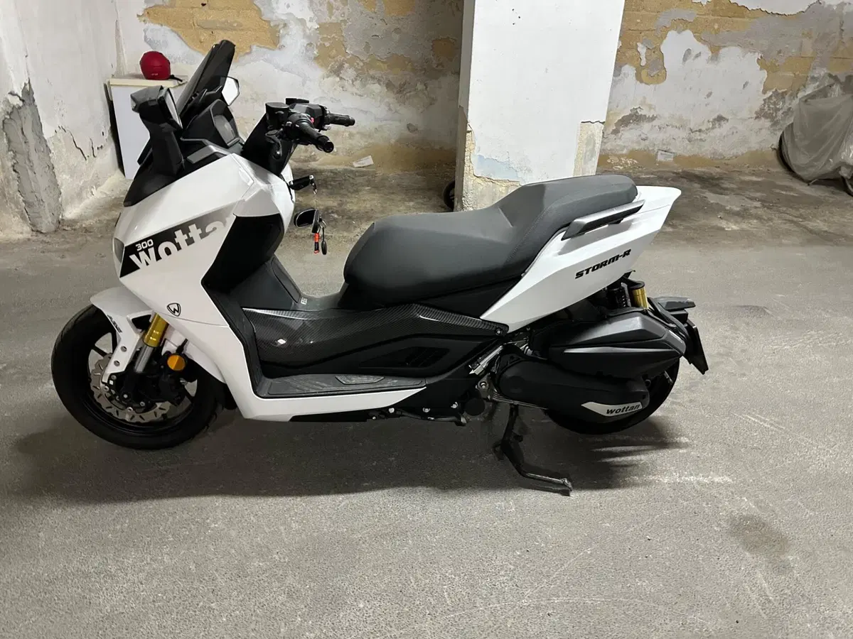 Wottan Motor Storm-R 300 (2023 - 25) (4)