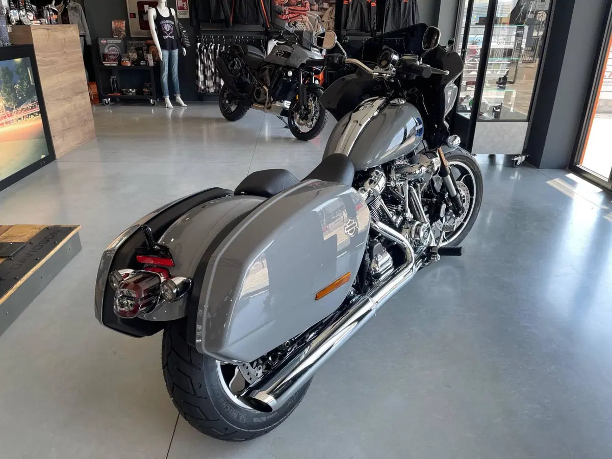 Harley-Davidson Low Rider ST (2025 - 26) (3)