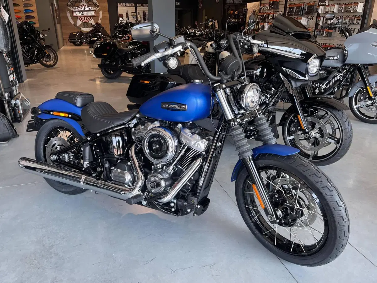 Harley-Davidson Street Bob 117 (2025 - 26)