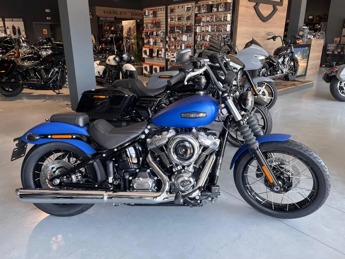 Harley-Davidson Street Bob 117 (2025 - 26) (2)