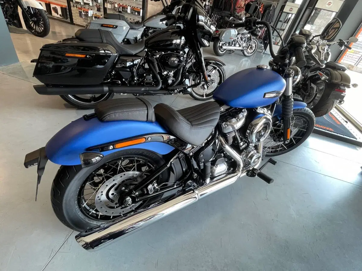 Harley-Davidson Street Bob 117 (2025 - 26) (3)