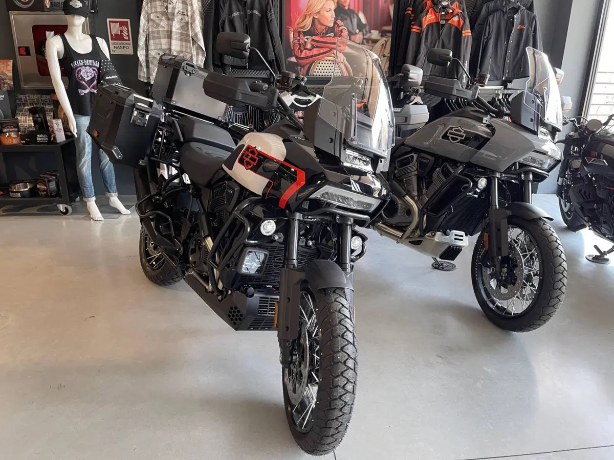 Harley-Davidson Pan America 1250 Limited (2026) (4)