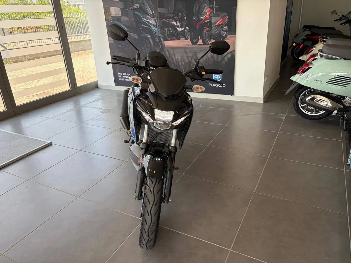 Suzuki GSX-S125 (2022 - 24) (2)