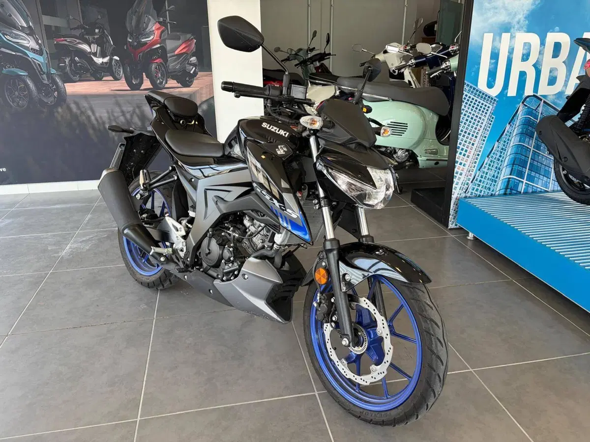Suzuki GSX-S125 (2022 - 24) (3)