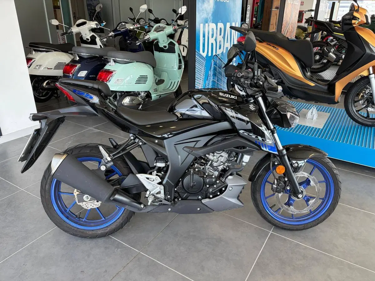Suzuki GSX-S125 (2022 - 24) (4)