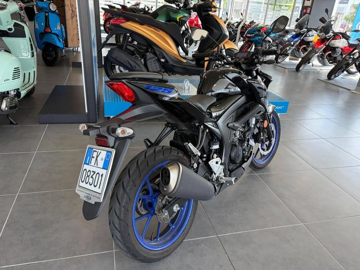 Suzuki GSX-S125 (2022 - 24) (5)