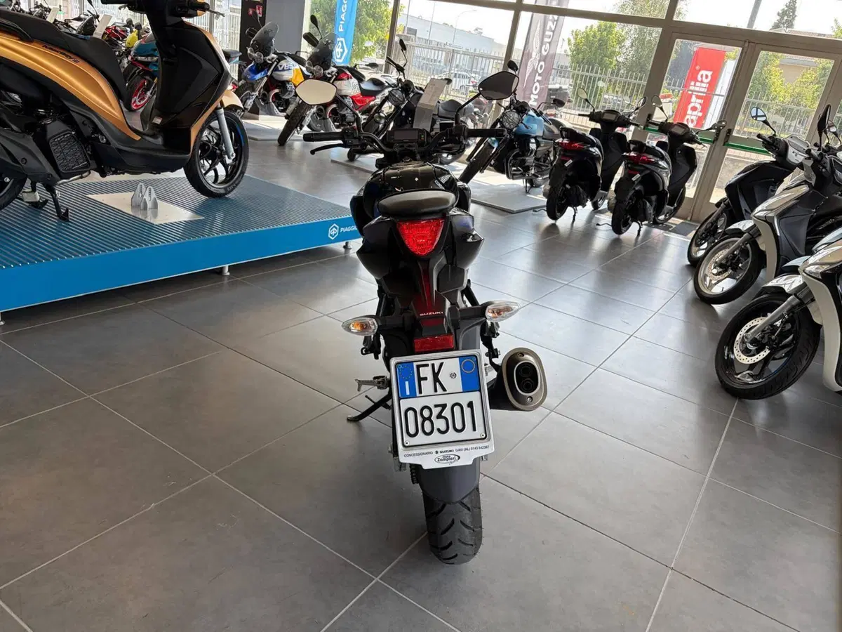 Suzuki GSX-S125 (2022 - 24) (6)