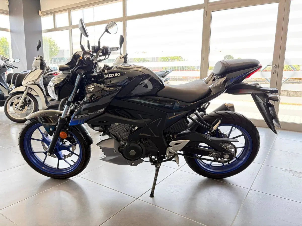 Suzuki GSX-S125 (2022 - 24) (8)