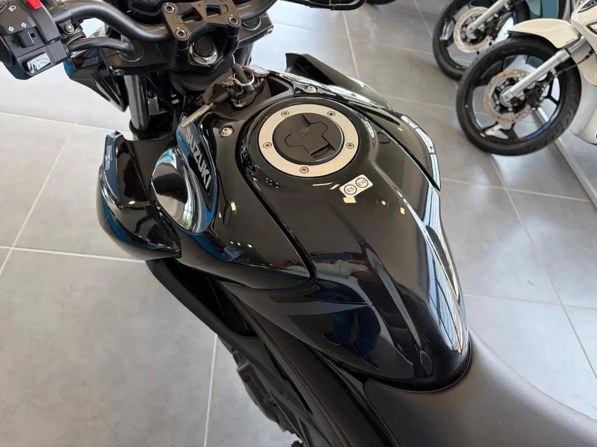 Suzuki GSX-S125 (2022 - 24) (10)