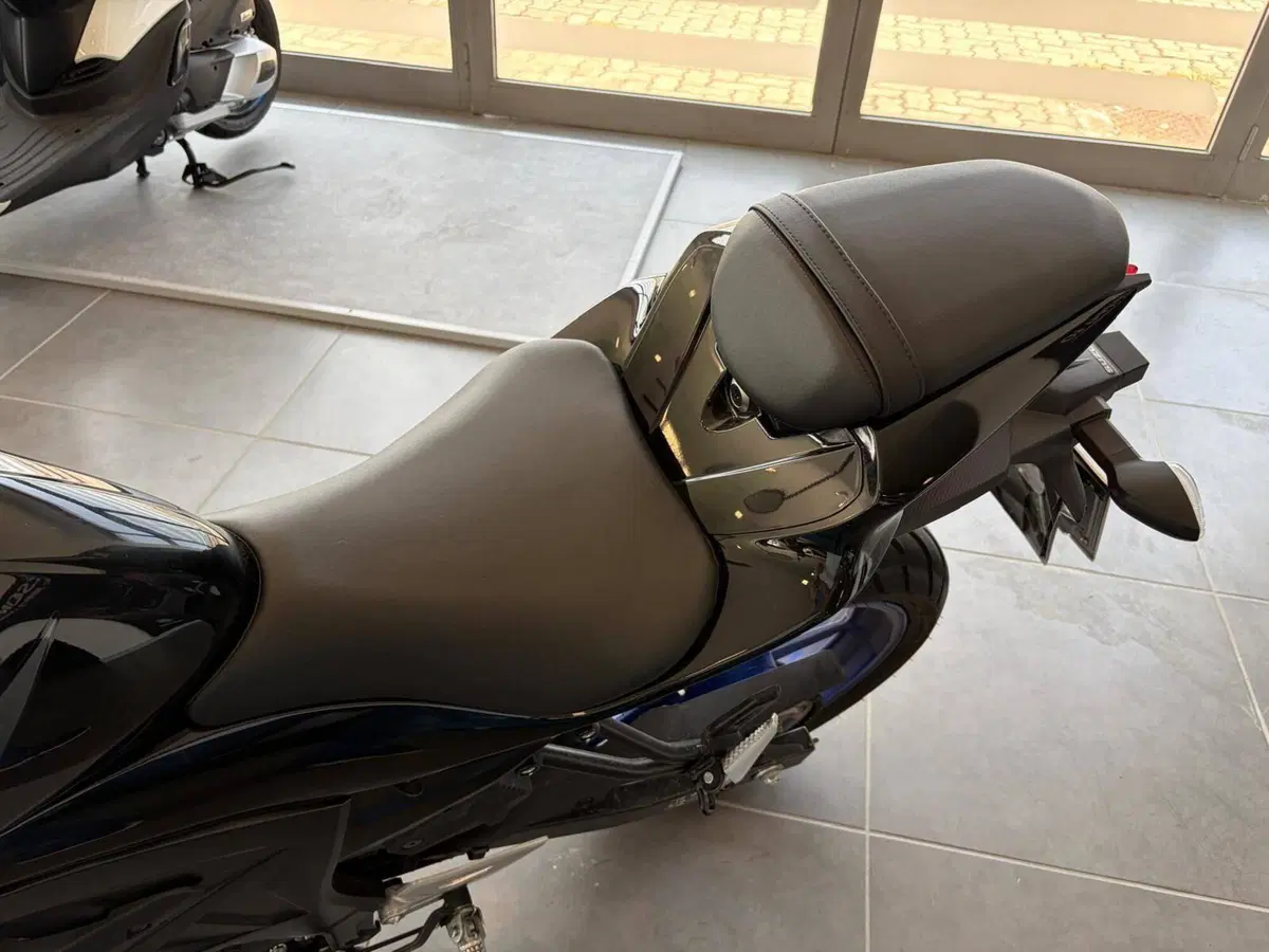 Suzuki GSX-S125 (2022 - 24) (11)